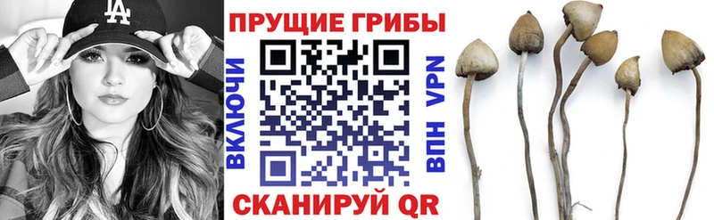 закладки  OMG ССЫЛКА  Галлюциногенные грибы прущие грибы  даркнет официальный сайт  Усть-Илимск 