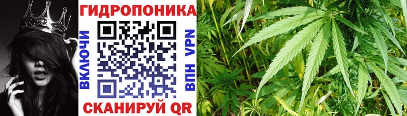 Марихуана план  где можно купить наркотик  Усть-Илимск 